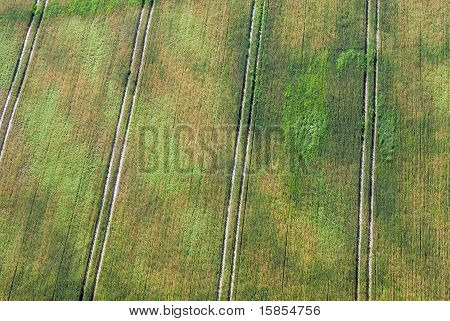 Aerial View Of Green Field
