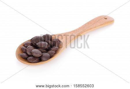 roasted sacha inchi seeds amino, aroma, brown