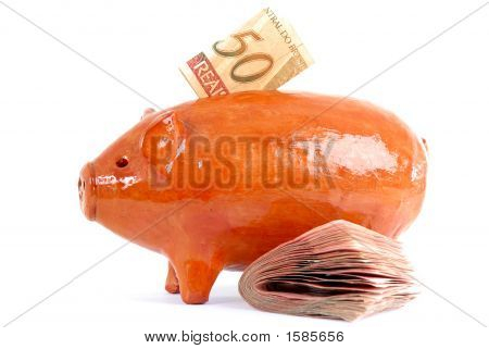 Pig Bank