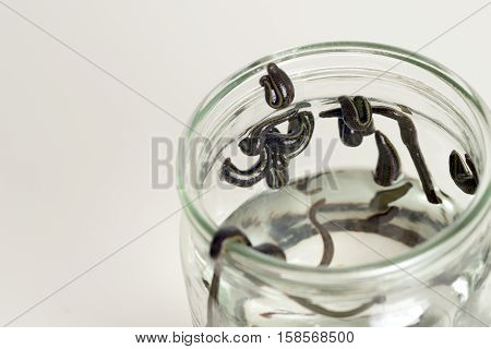 Hirudotherapy. Medical leeches in water before therapy