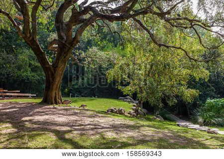 Lisbon, Portugal - October 19, 2016: Gardens of the Calouste Gulbenkian foundation. An urban park open to the public, and very popular especially among College students.