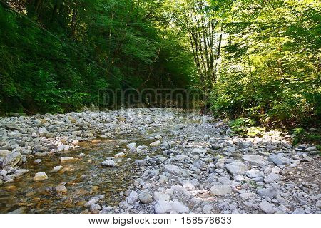 Glorious mountain creek among the southern forests