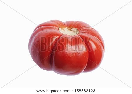 Pumpkin on a stick (Solanum integrifolium). Called Ornamental eggplant also. Image of pumpkin isolated on white background