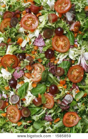 Salade fraîche