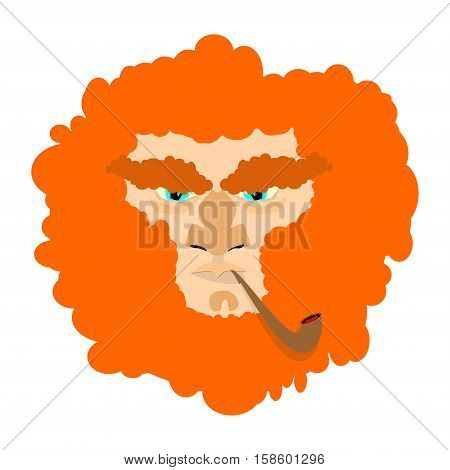 Leprechaun With Red Beard. St. Patricks Day Character. Irish Holiday