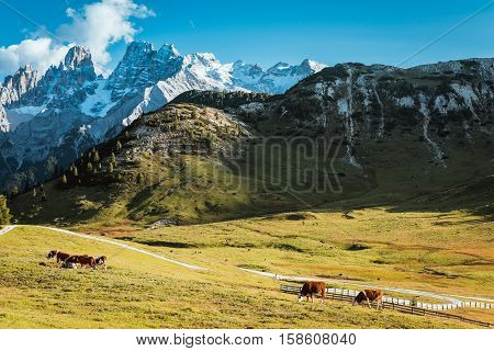 Scenic view of Italian Dolomites on sunny autumn day