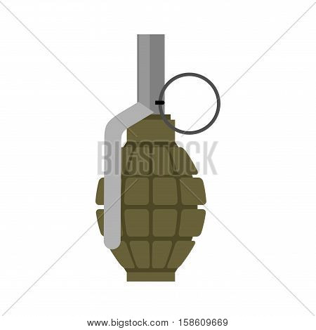 Military Grenade Green. Army Explosives. Soldiery Ammunition. War Explosive Bombshell