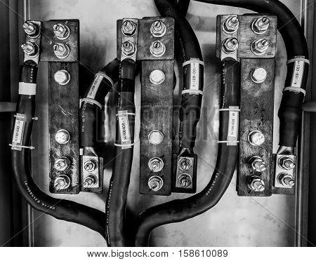 Electrical ground wires connected to a metal junction plate.
