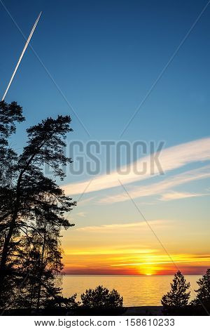 Sea or beach with pine tree in sunset warm light