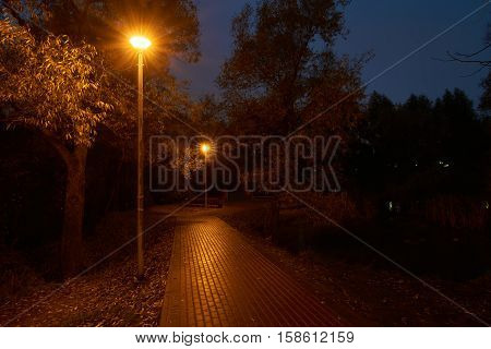 Twilight in the park and street lights with star filter effect. Park near Yauza river in Babushkinskiy district Moscow. The weather is quite rainy here.