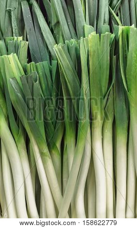 Fresh leeks on sale in a market