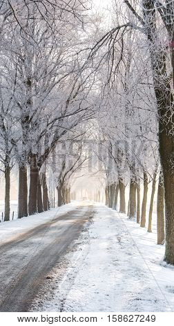 Great nice cozy winter landscape in the Netherlands along old seawall snow ice and fog