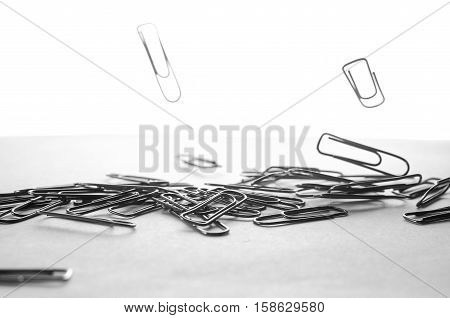 Paperclips scattered on a white background stationery metal office in a different order