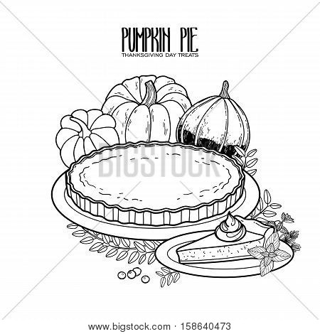 Graphic pumpkin pie drawn in line art style. Thanksgiving day design isolated on white background in black colors. Coloring book page design for adults and kids.