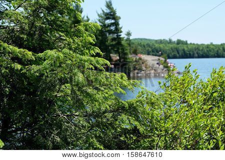 Sunny day by a lake, Estrie, Quebec, Canada