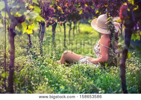 Beautiful female in the jacket in the vineyard at sunset background