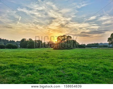 Sunlights behind the tree on green meadow in sunny day with amazing sky with clouds.