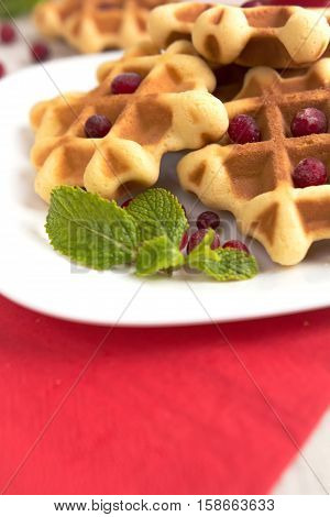 Dessert waffles with cranberries and chocolate syrup