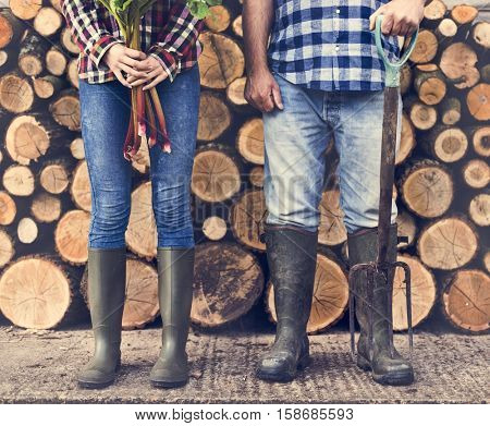 Firewood Fuelwood Lumber Timber Lumber Log Concept