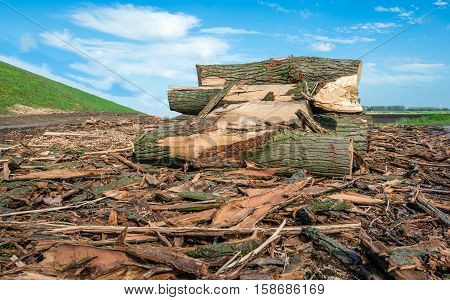 The tall trees along the embankment are cut down because of the danger to blow down. Now remains just a small pile of logs and bark.