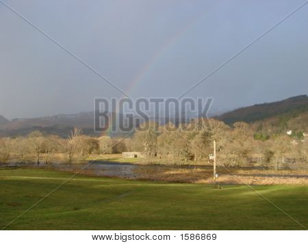 Rainbow im winter