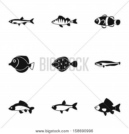 Species of fish icons set. Simple illustration of 9 species of fish vector icons for web