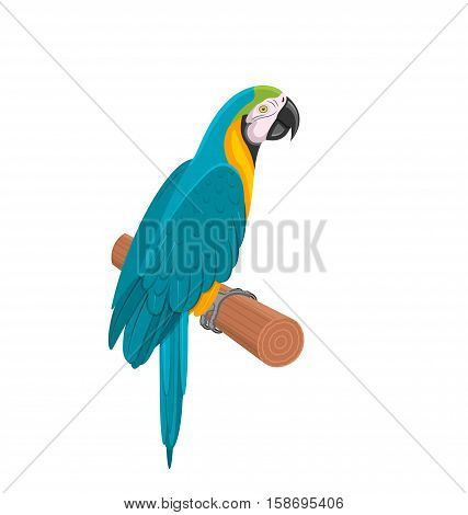 Illustration Pretty Blue Parrot Ara on Branch. Bird Isolated on White Background. Endangered Animal - raster