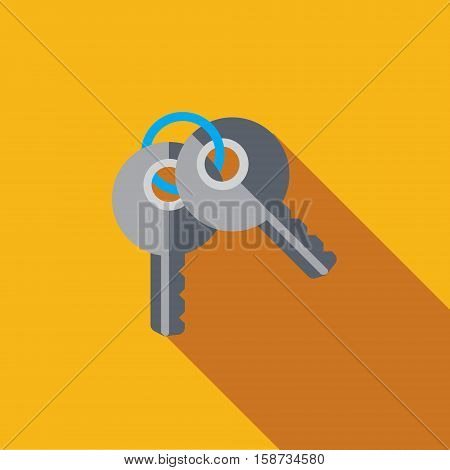 Vector icon or illustration showing access with two keys in flat design style with long shadow