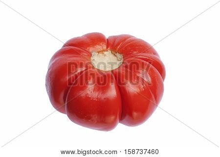Pumpkin on a stick (Solanum integrifolium). Called Ornamental eggplant also. Image of pumpkin isolated on white background