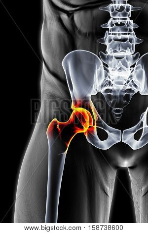 male pelvis under the X-rays. joints are highlighted in red. 3D illustration.