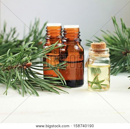 Set of various essential oil bottles, fresh green coniferous pine branches. Natural healing essences. Square crop.