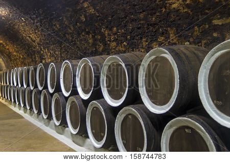 Oak barrels with wine in the sellars of the Sunny Valley winery Crimea. Crimea.