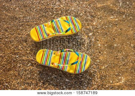 Bright-colored flip flops. Footwear on water background. Sense the warmth of sea. Holidays at the tropical island.