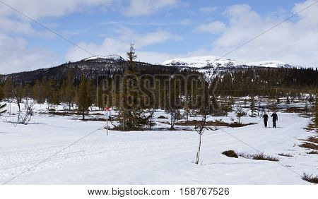 SCANDES, SWEDEN ON APRIL 27. View of two unidentified women cross-country skiing along a trail on April 27, 2013 in the Scandes, Sweden. Track and forest. Editorial use.