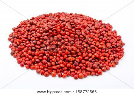 Red sandalwood seeds or Adenanthera pavonina L.  isolated on white background. / Used as beads and in percussion instruments.