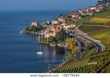 View on the village Rivaz and Geneva Lake from vineyard terraces. Highway and railway with the train.
