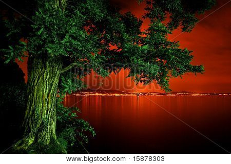 Bodensee Bodensea