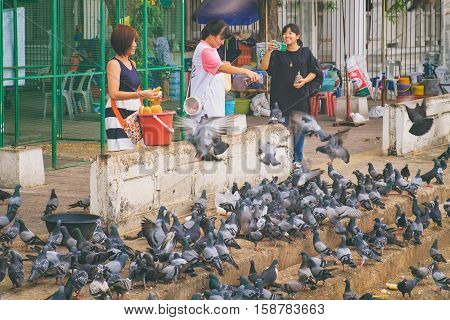 Bangkok, Thailand - January 8, 2016: Thai girls relax take photos and feed the pigeons on the waterfront of Wat Rakhang Pier, Bangkok, Thailand. Here is the famous Wat Rakhang Girls' School.