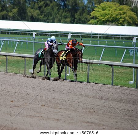 Corrida para o fio