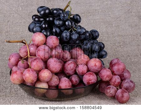 Autumn still life of beautiful grape bunches