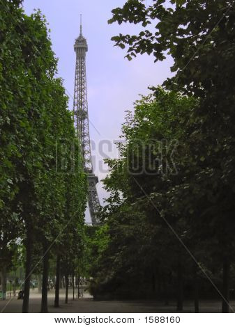 Eiffel - árboles