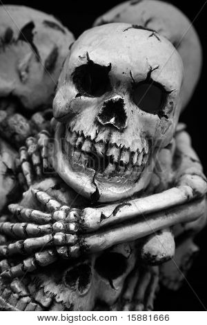 Skulls And Bones