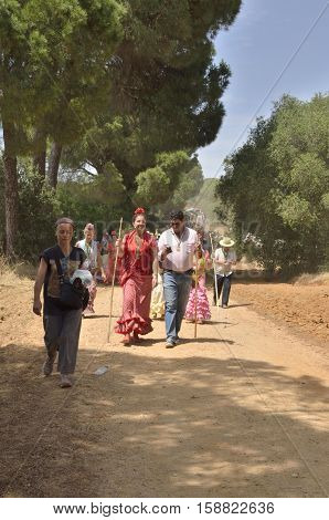 Huelva, Spain - June 5, 2014: Pilgrims on the way of the pilgrimage among the pines of the countryside of Huelva Spain.