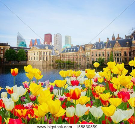 city center of Den Haag - old and new at spring, Netherlands