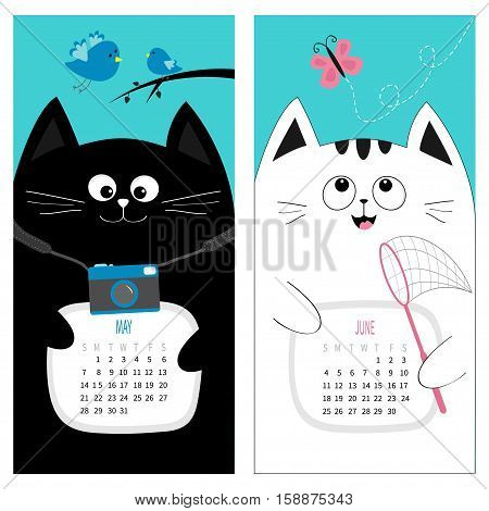 Cat calendar 2017. Cute funny cartoon character set. May June spring summer month. Photo camera bird branch pink butterfly insect net. Dash line track. Flat design. Blue background. Vector