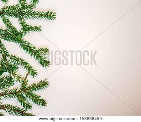 Green fir branches isolated on white background - New Year and Christmas theme