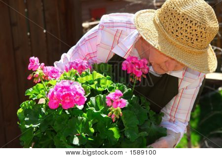 Mujer Senior jardinería