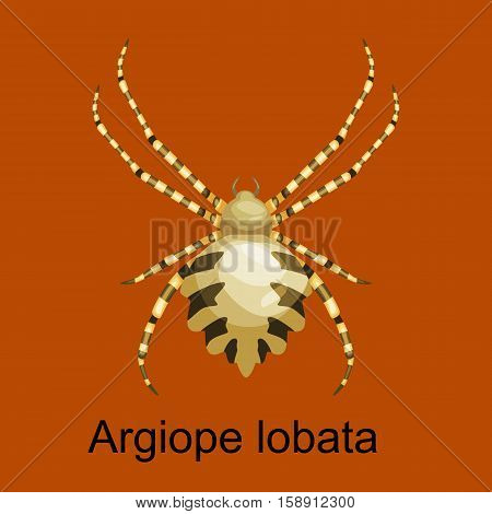 Flat spiders cartoon scary symbols and spiders insect flat design. Set of flat spiders cartoon colored icons vector illustration isolated on white background. Spider vector. Spider icons isolated