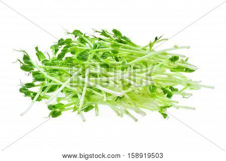 fresh snow pea sprouts isolated on white background