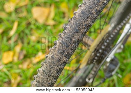 Rear bicycle wheel closeup against autumnal background (shallow dof)